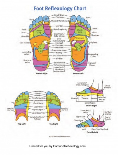 Portland Reflexology | Reflexology Diagrams