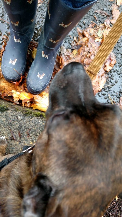Nancie's toes stay warm walking Dakota.