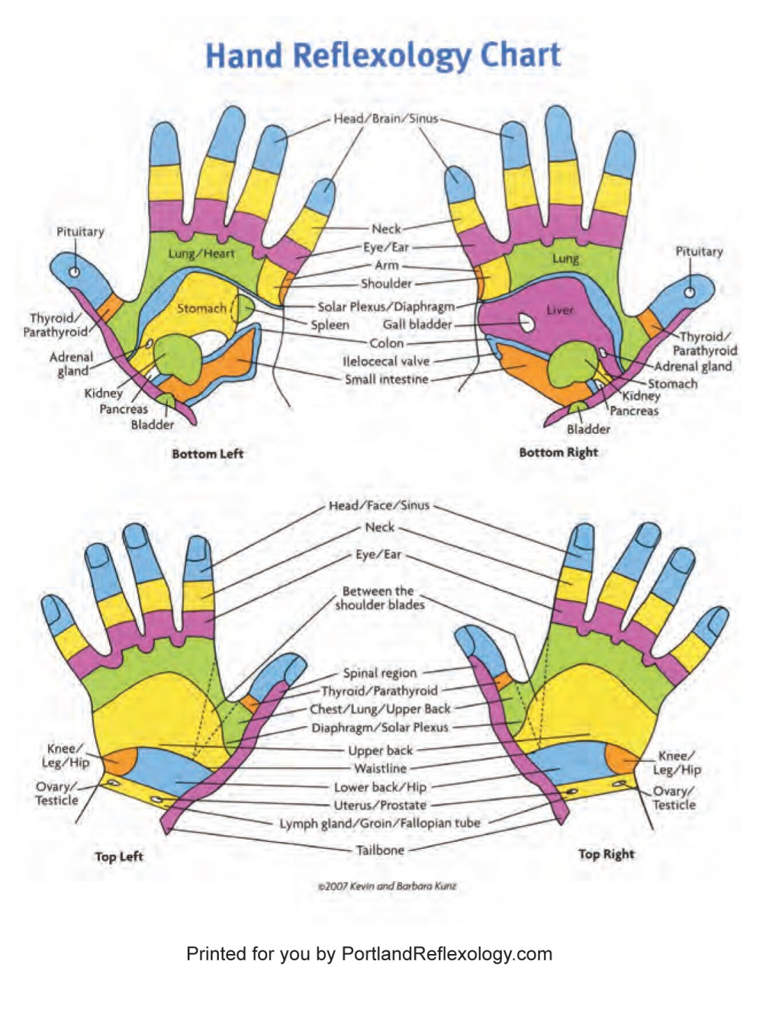 Wrist Reflexology Chart